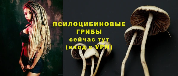 не бодяженный Мегион