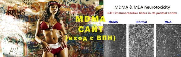 ПСИЛОЦИБИНОВЫЕ ГРИБЫ Медвежьегорск
