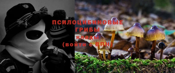 прущий лед Медногорск