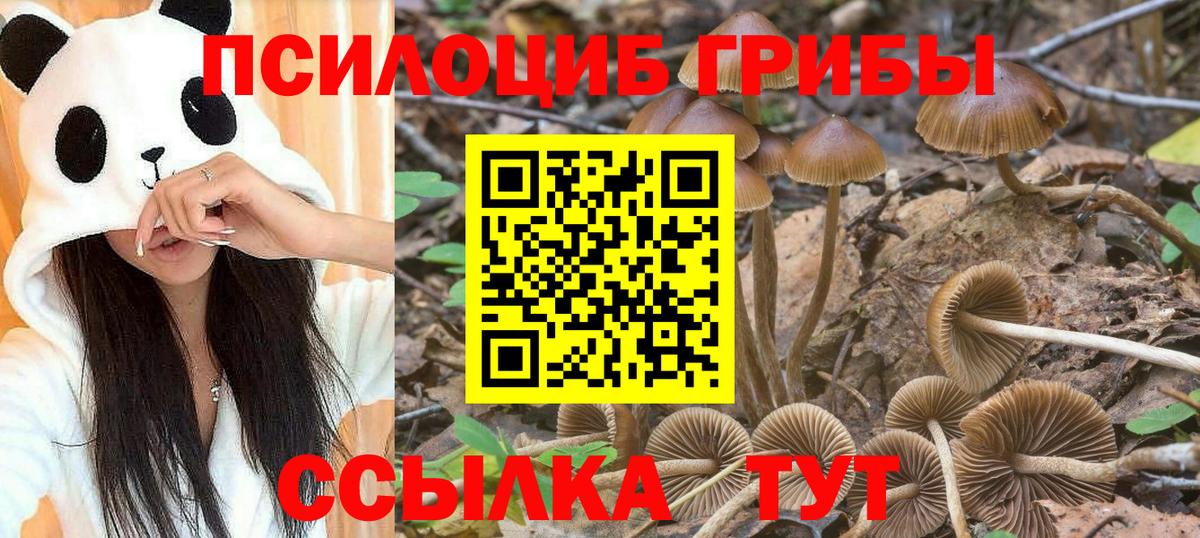 Галлюциногенные грибы Psilocybe  Вход с VPN  Галлюциногенные грибы ЛСД  Сальск 