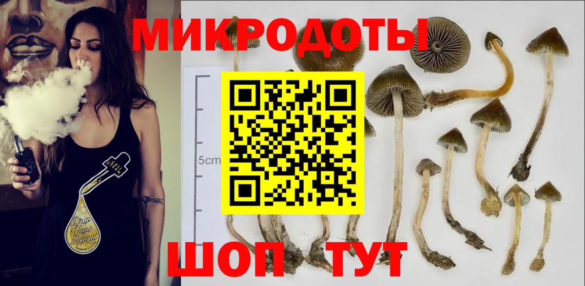 Псилоцибиновые грибы прущие грибы Сальск